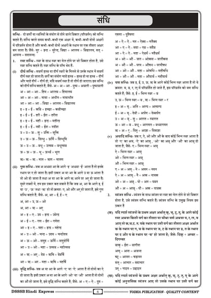 DSSSB HINDI EXPRESS